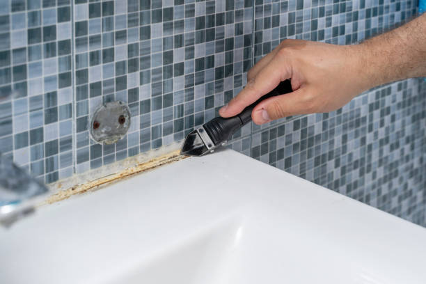 Best Best Mold Removal Companies  in Forest View, IL